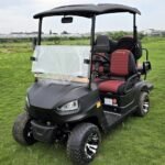 48V Electric Golf Cart 4 Seater Renegade X Edition Utility Golf UTV – BLACK